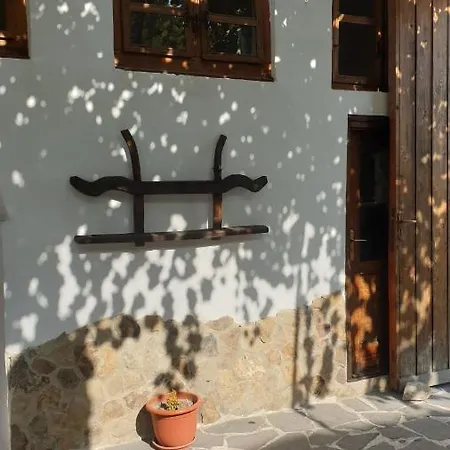 Facilitati Raluca B&B
