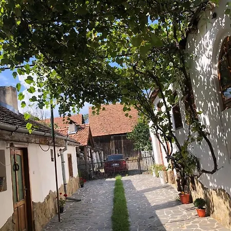 Facilitati Raluca B&B *